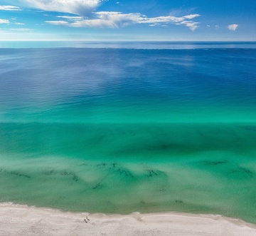 Saltwater Social Club