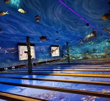 Saltwater Social Club