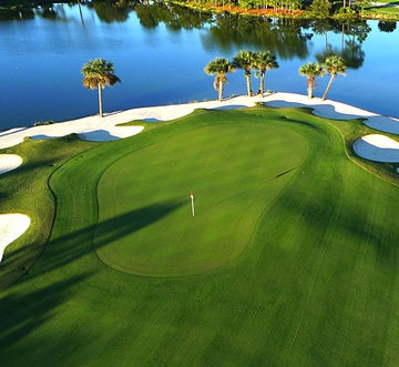 The Palms of Destin 1411 - The Pretty Palm