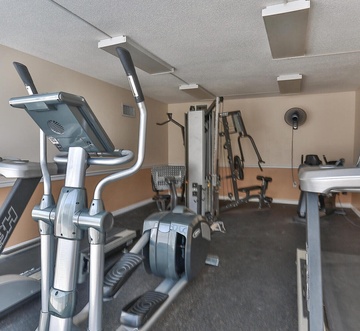 Island Princess 707 - Grouper Therapy