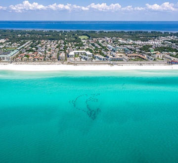 Tradewinds 21 - Coastal Charm