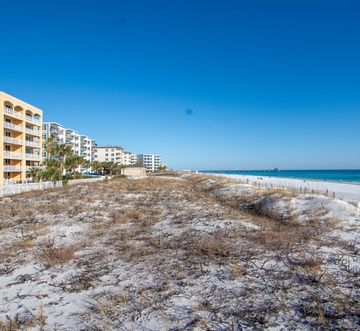 Azure 214 - Paradise Palms