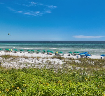 Beach Resort 401 - Blue View