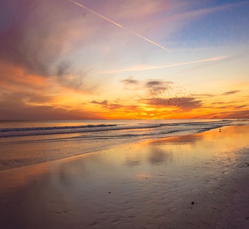 Ariel Dunes 2405 - The Penthouse