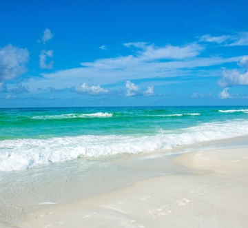 Pelican Beach 912 - Tropical Oasis