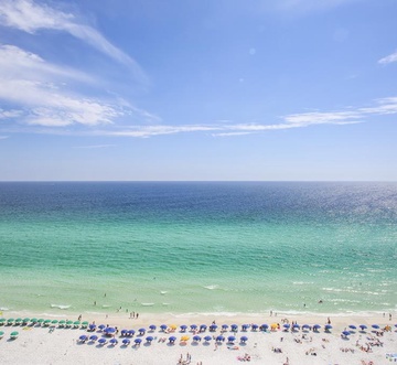 Sundestin 1704 - Sunny D