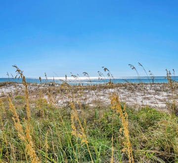 Gulf Dunes 111 - Sea Drift