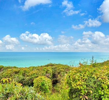 Monterey B101 - Monterey Magic