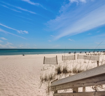 Venus 108 - Stay Salty