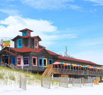 Saltwater Social Club