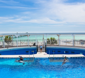 Ariel Dunes 2405 - The Penthouse