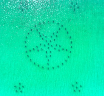 Beach House 504D - Shiplap by the Shore