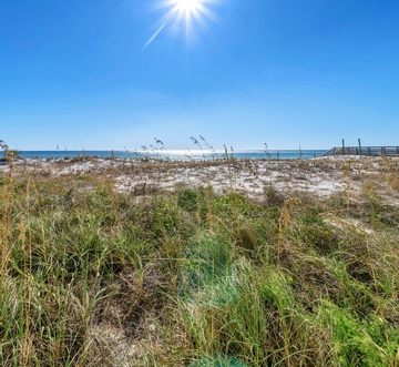 Gulf Dunes 111 - Sea Drift