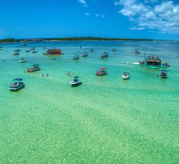 Pelican Beach 912 - Tropical Oasis