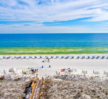 Island Princess 707 - Grouper Therapy