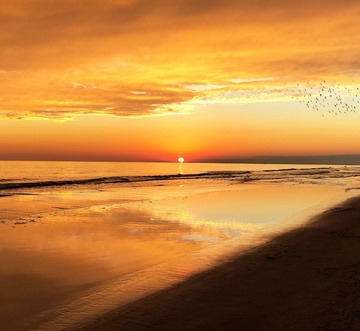 Pelican Beach 1915 - Cloud Nine