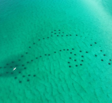 Tradewinds 21 - Coastal Charm