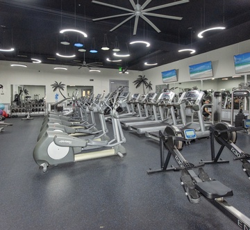 The Palms of Destin 1411 - The Pretty Palm