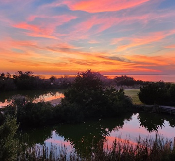 RF10: Sunset Sanctuary
