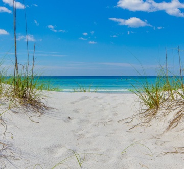 Coastal Breeze