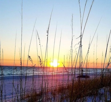 Beachwalk Villa 5115