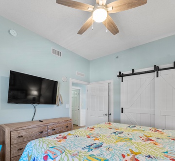 Calypso 2308W