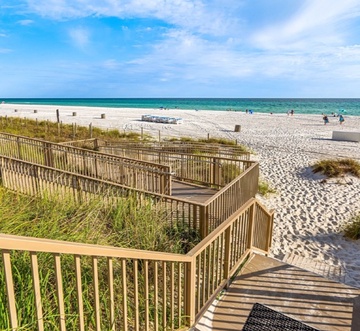 Boardwalk 501