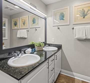Calypso 408E