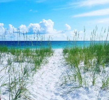 Toes In The Sand