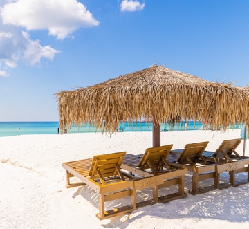 Palapa House