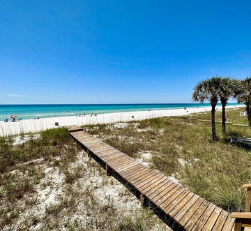 Looney Dunes