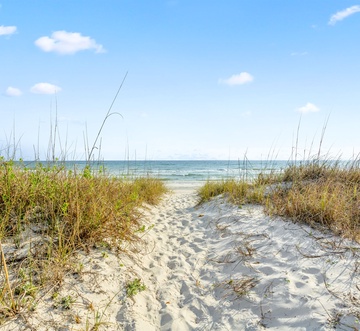 Beach Roost