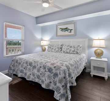 Calypso 402E