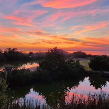 RF10: Sunset Sanctuary