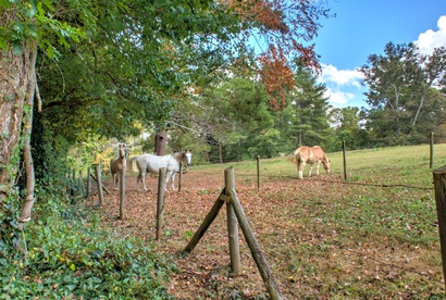 Heartwood Cottage