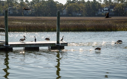 7 Rhetts Bluff Road 5