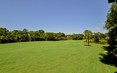 115 Bufflehead Drive 5