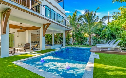Palmetto Paradise