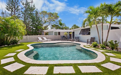 Palm Trees and Manatees