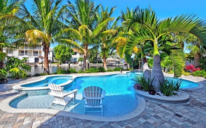 The Curated Palm