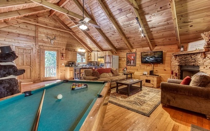 Cozy Bear Lodge 4