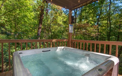 Honey Bear Hideaway 3