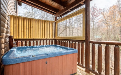 Smoky Mountain Vista 3