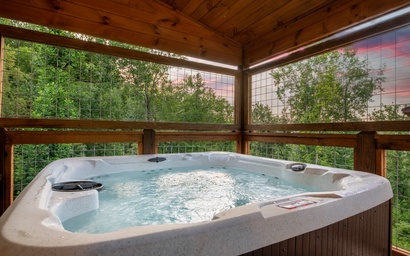 Friends in Bear Places 3