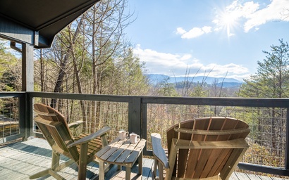 Country Bear Hideaway 3