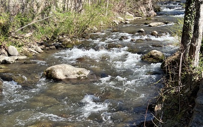 Deer Ridge Retreat 5