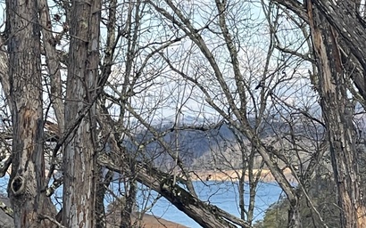 Bearburgh On The Lake 5