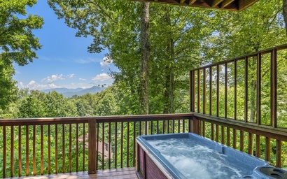 Mountain View Chalet