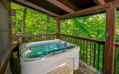 Smoky Mountain Jewel Unit 2 2