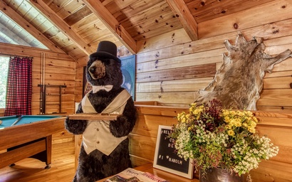 Cozy Bear Lodge 5